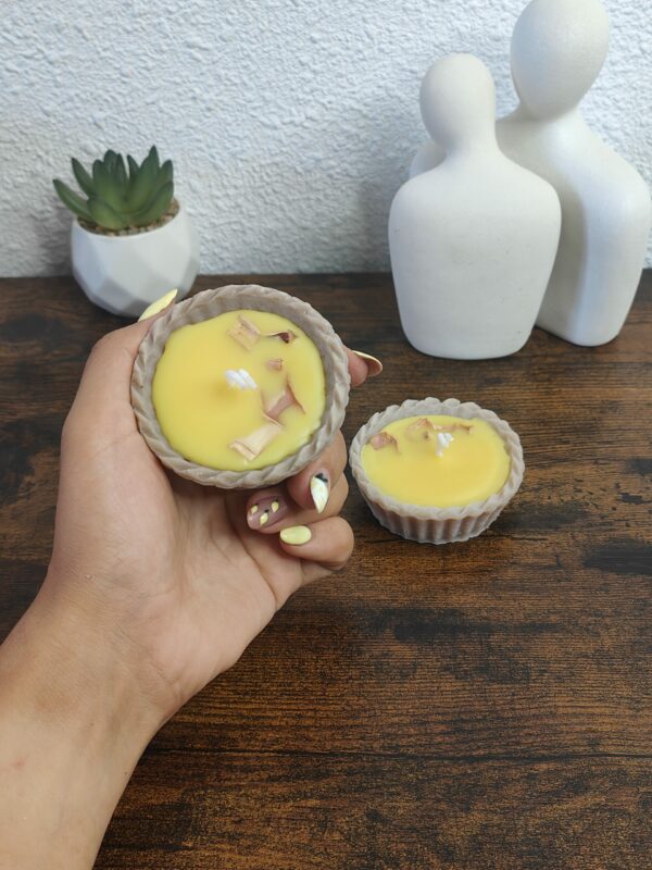 Tartelette Anti-Moustique à la Citronnelle