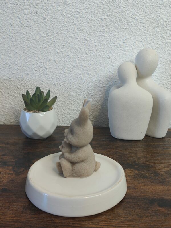 Lapin Câlin – Image 2