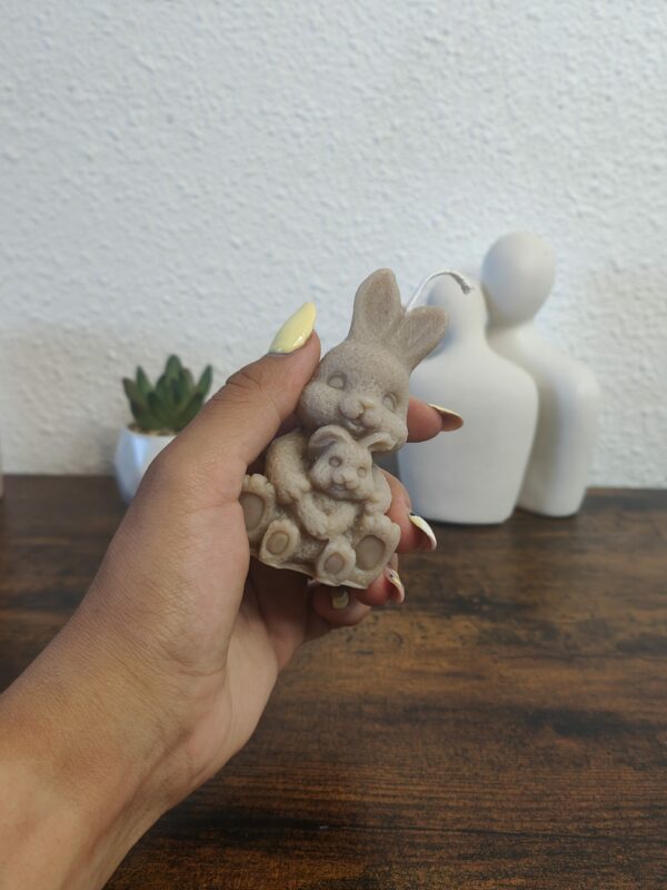 Lapin Câlin