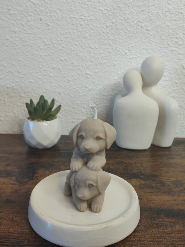 Duo de Truffes – Image 4