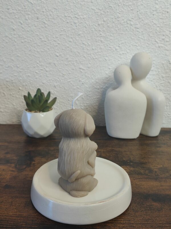 Duo de Truffes – Image 3