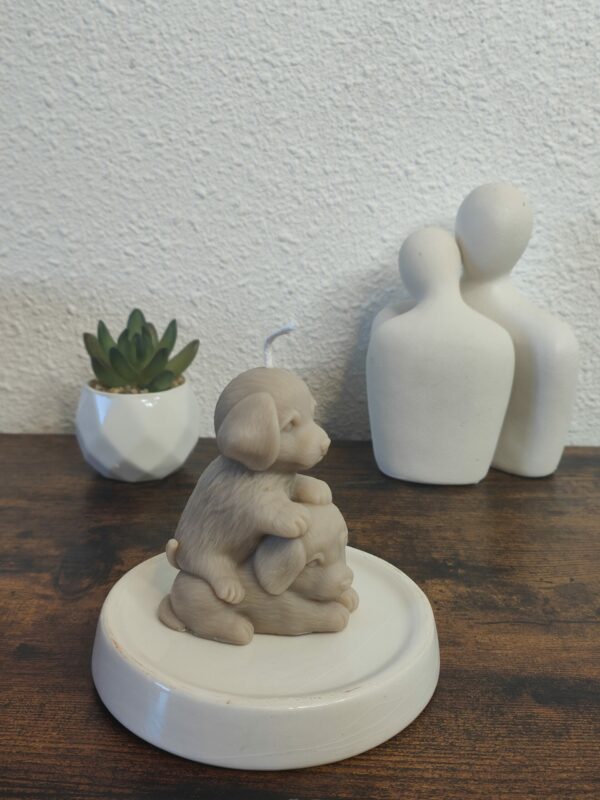 Duo de Truffes – Image 2
