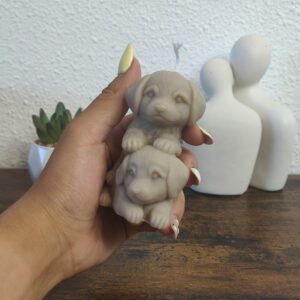 Duo de Truffes