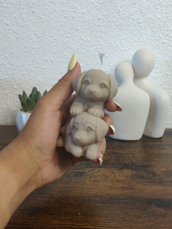 Duo de Truffes