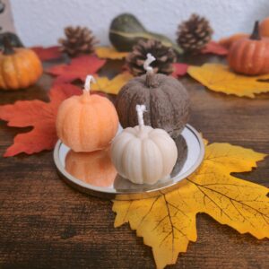 Lot de Bougies Citrouilles d’Automne